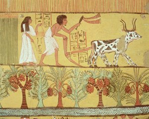 Sennedjem e Sua Moglie nei Campi a Seminare e Coltivare, dalla Tomba di Sennedjem